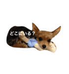 けいくれちゃん（個別スタンプ：14）