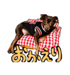 古堅ボブ（個別スタンプ：15）