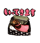 古堅ボブ（個別スタンプ：16）