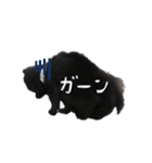 ポメラニあんず＆こもも（個別スタンプ：23）