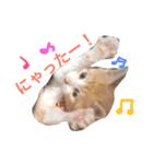 子猫のちゃちゃお（個別スタンプ：3）