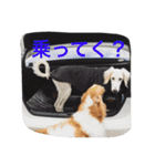 おぺぺぺ（個別スタンプ：1）