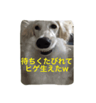 おぺぺぺ（個別スタンプ：2）