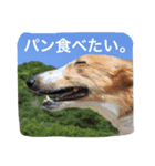 おぺぺぺ（個別スタンプ：5）