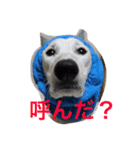おぺぺぺ（個別スタンプ：6）