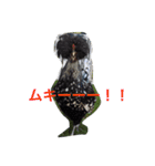 おぺぺぺ（個別スタンプ：7）
