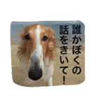 おぺぺぺ（個別スタンプ：9）