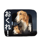 おぺぺぺ（個別スタンプ：11）