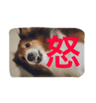 おぺぺぺ（個別スタンプ：12）