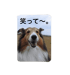 おぺぺぺ（個別スタンプ：13）