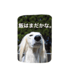 おぺぺぺ（個別スタンプ：15）