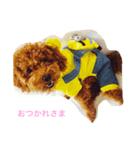 lien with yukky（個別スタンプ：1）