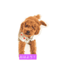lien with yukky（個別スタンプ：3）