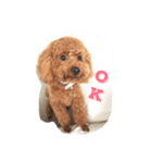 lien with yukky（個別スタンプ：6）