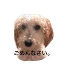 マロンの気持ち！（個別スタンプ：14）