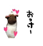 Pomekichi＆yukichi3（個別スタンプ：1）