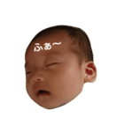 あおい七変化（個別スタンプ：4）