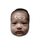 あおい七変化（個別スタンプ：5）