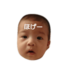 あおい七変化（個別スタンプ：6）