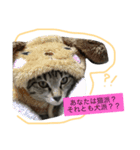 つくねちゃんアンモナイト（個別スタンプ：7）