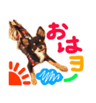 Ganmo 1（個別スタンプ：4）
