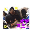 Ganmo 1（個別スタンプ：5）