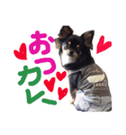 Ganmo 1（個別スタンプ：6）