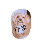 marinbuuu（個別スタンプ：6）