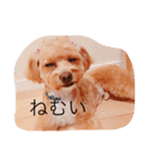 marinbuuu（個別スタンプ：7）