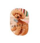 marinbuuu（個別スタンプ：8）