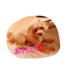 marinbuuu（個別スタンプ：9）