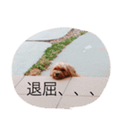 marinbuuu（個別スタンプ：10）
