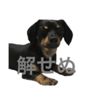 まろ眉ちゃちゃまる（個別スタンプ：4）
