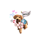 トイプーもこ♡（個別スタンプ：16）
