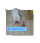 まつ子スタンプ2（個別スタンプ：11）
