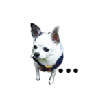 little-white-monster（個別スタンプ：3）