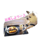 little-white-monster（個別スタンプ：5）