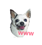little-white-monster（個別スタンプ：7）