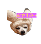 little-white-monster（個別スタンプ：12）