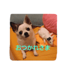little-white-monster（個別スタンプ：13）