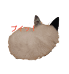 little-white-monster（個別スタンプ：15）