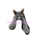 ジジのスタンプ（個別スタンプ：1）
