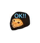 猫ちゃま（個別スタンプ：7）