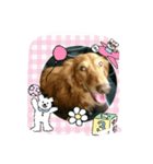 ミニチュア（個別スタンプ：1）