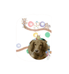 ミニチュア（個別スタンプ：5）