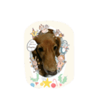 ミニチュア（個別スタンプ：8）