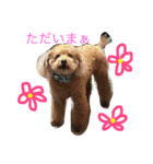 eitamikopon（個別スタンプ：1）