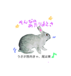 うさぎ的ことわざ（個別スタンプ：1）