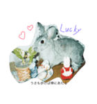 うさぎ的ことわざ（個別スタンプ：3）