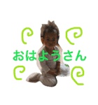 大阪弁BABY！（個別スタンプ：38）